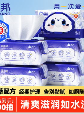 柔邦湿厕纸家庭实惠装洁厕湿巾私处擦屁屁股男士女士专用孕妇女性
