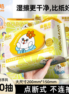 柔邦湿厕纸家庭实惠装洁厕湿巾私处擦屁屁股男士女士专用孕妇女性