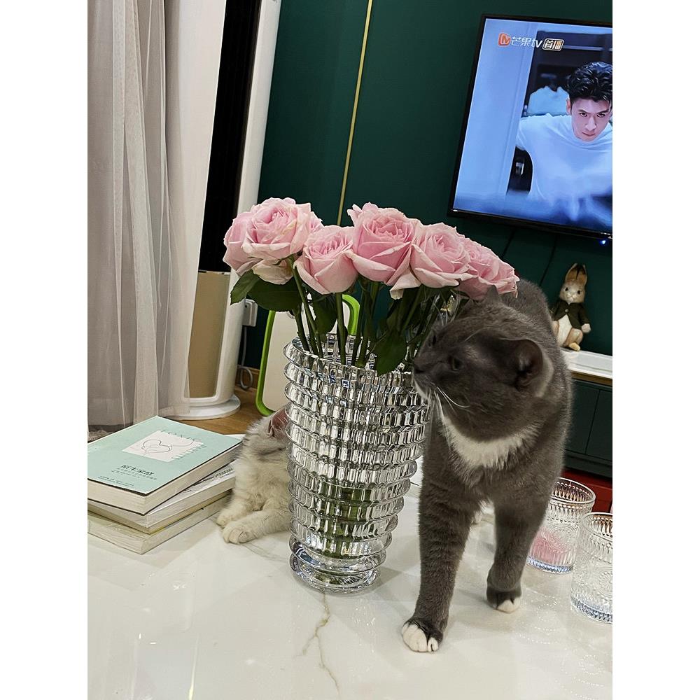 璀璨轻奢水晶玻璃花瓶摆件加厚客厅餐厅样板间插花桌面ins风花器