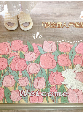 速发风入户门垫丝圈口垫进门p垫c防滑脚v门地玄关垫子入门家用地