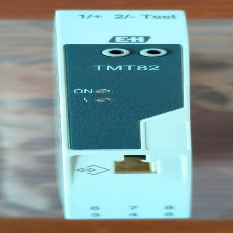 TMT82-BAA3CA2A1A1A2，e+h  温度变送器~议价