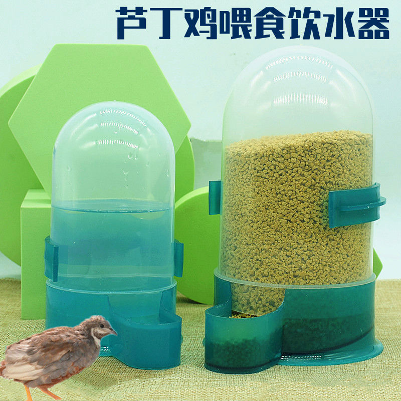 鸽子饮水器自动喂水水壶信鸽用用具鹦鹉喂食器鸟食槽芦丁鸡水壶