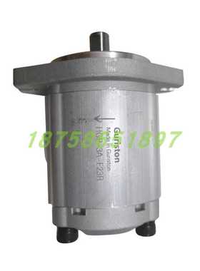 齿轮泵P204R/P206R/P208/P211/P214/P216R/P219R/P225R/P230RP01D