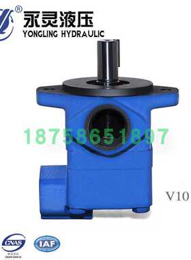 YLC永灵叶片泵V10-1P1P 2P 3P 4P 5P 6P 7P-1A-R 1B/1C/1D-R L 20