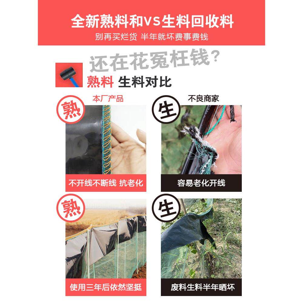 龙虾防青逃网养殖围网虾塘鱼塘甲鱼子虾TKB虾田虾池拦鱼蛙螃蟹养