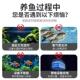 动水鱼缸供氧循环智能定控KB智能定制器族箱氧气水泵杀菌灯自通电