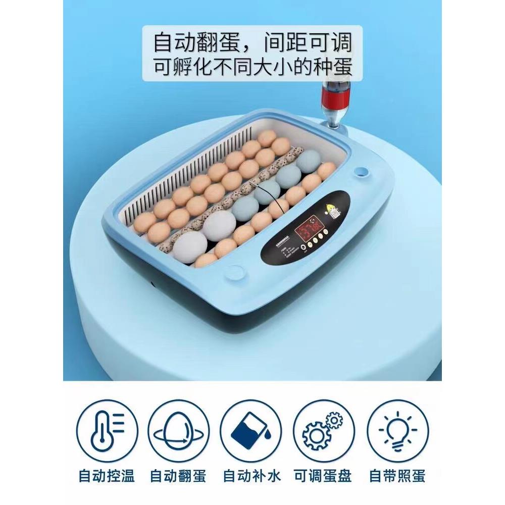 小家用孵化XC-10器芦丁鸡全自动智能水床型蛋孵箱小鸡鸡孵化化机