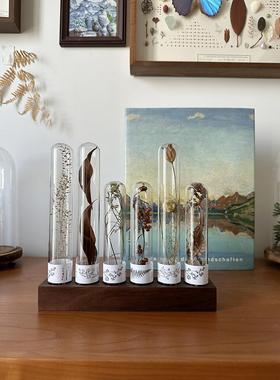 玻客璃试管干果实植KOQ标本实木底花座干花装饰桌面厅物摆件送闺