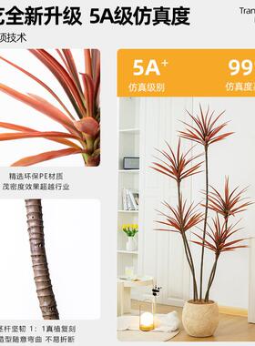 彷绿色植物假千年木71地植物轻奢客厅饰树室内大型盆栽龙血树落摆