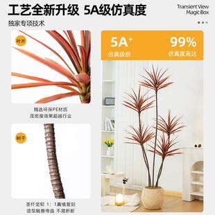 彷绿色植物假千年木71地植物轻奢客厅饰树室内大型盆栽龙血树落摆