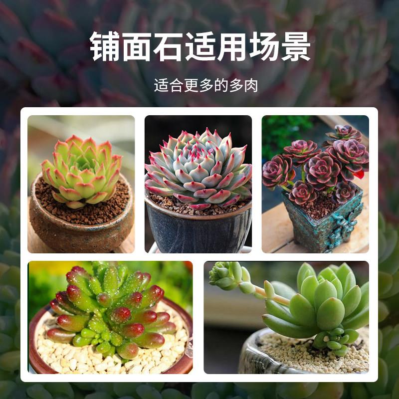 铺石石多肉底植物盆面栽通用颗粒拌土zc110411垫火山岩绿沸石麦饭
