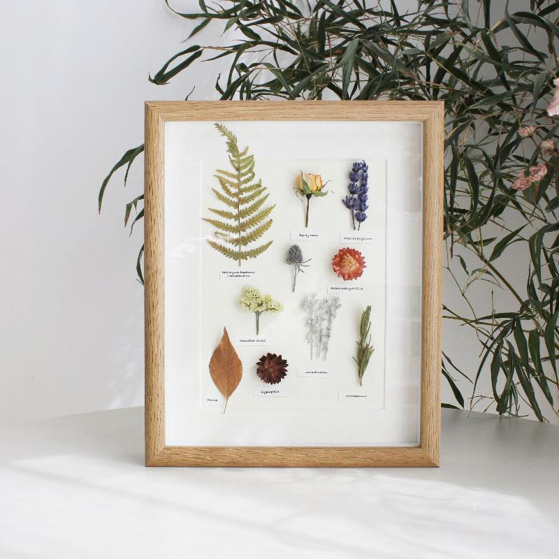 文艺植物手作标本装饰画挂画照片墙干花相框民宿家居摆件创意礼品