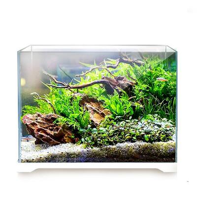 超鱼缸造景水箱客厅金小鱼缸型生族态水草造景8042-YF-套餐桌白面