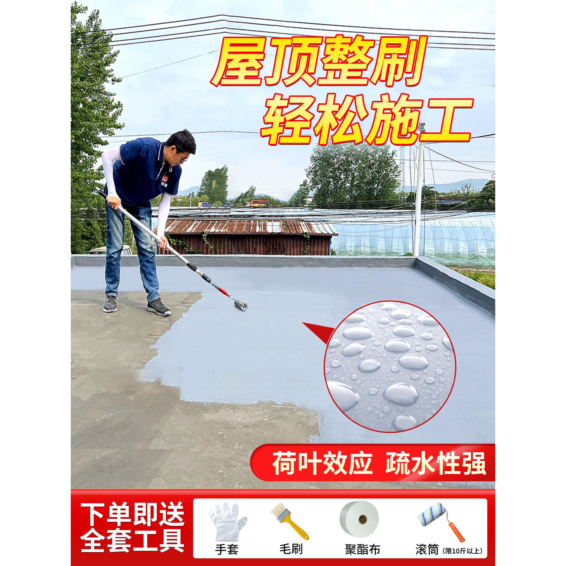 水塘涂料面裂缝渗漏水防修屋补材料屋面/平房渗水漏专用屋面防漏