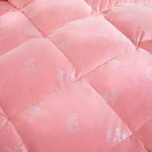 奥力单福95Y80_1200双白鹅绒全面料三季棉被子被芯人人加厚保暖羽