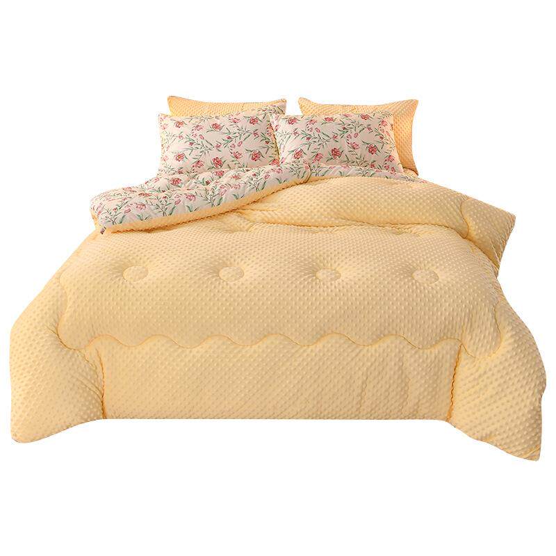 新款竺小棉+豆豆绒保暖冬被加厚单双人被子被芯可水洗