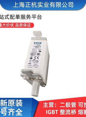 直供现货170M1570170M1573巴斯曼直流快速熔断器型号齐全