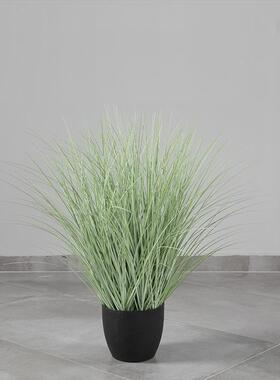草草H16073V盆纯蒲小芦苇水烛盆栽商草场橱窗装饰假花