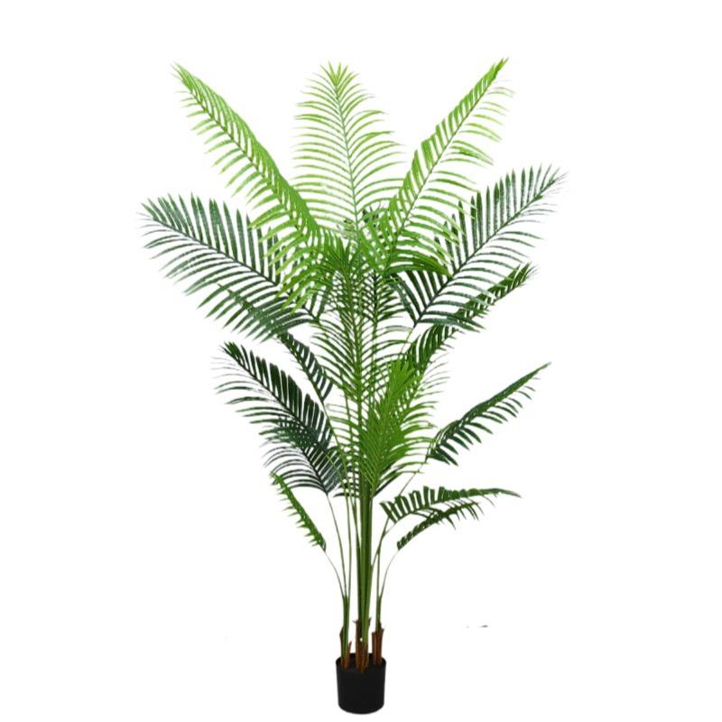 外贸款仿真散尾葵植物盆栽热带植物凤尾竹仿生夏威夷葵现货