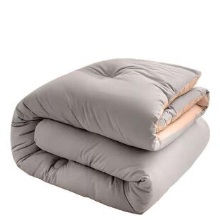 双面磨毛秋冬被纯色拼色亲肤保暖ins风裸睡化纤被子200x201.8m床