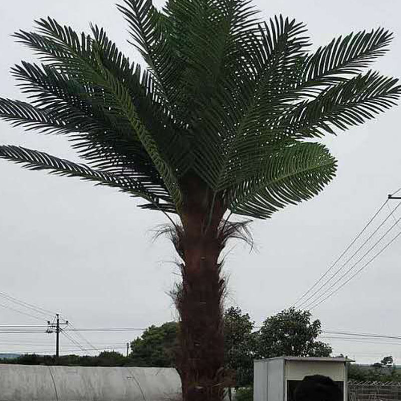 仿真棕榈树大型假树热带仿真绿植造景室内外装饰大树人Z字皮棕榈