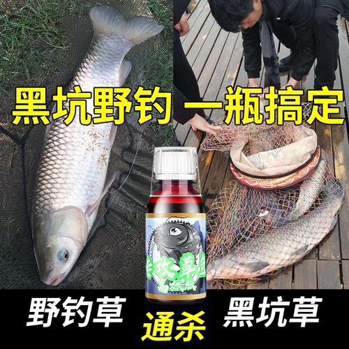 易钓草鱼专攻小药专钓大草鱼饵料专用大物M打窝料神器野钓黑坑颗