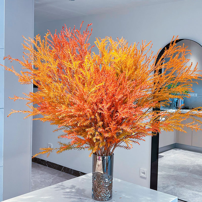 神仙切枝氛围感满满千层金鲜花黄金香柳K云南直发插花水养花期长