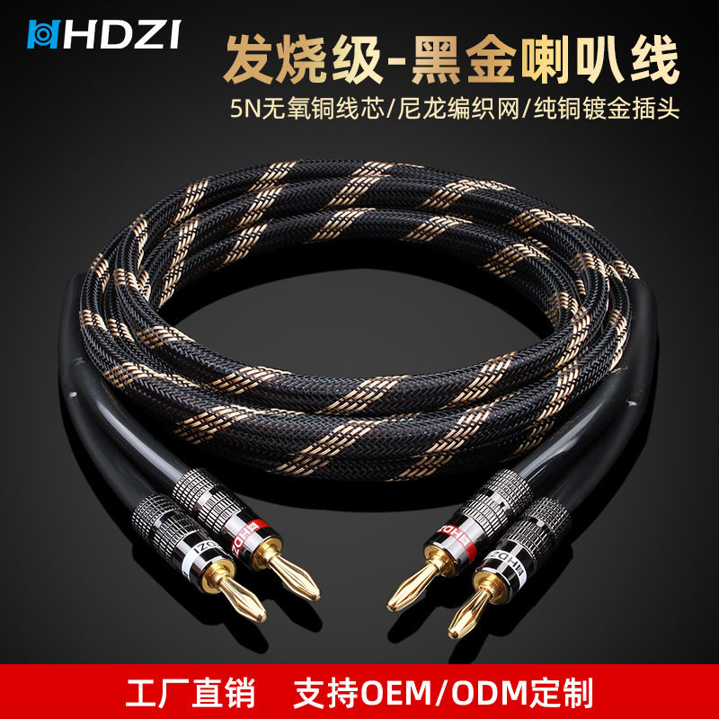 HHDZI喇叭线纯铜带镀银神线主音箱环绕HIFI音响连接线双声道