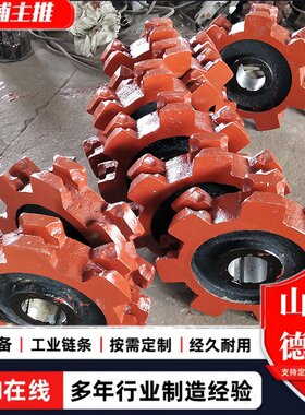 不锈钢链轮NE15NE30NE50刮粪机链轮窝式齿轮双节距齿轮组传动链轮