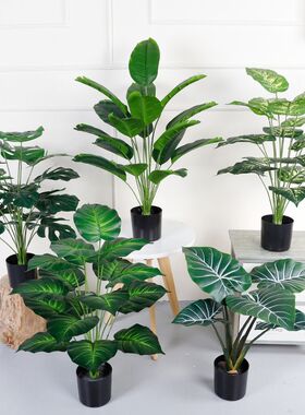 仿真绿植万年青绿萝盆栽 桌面摆件小植物客厅落地 装饰仿真龟背叶