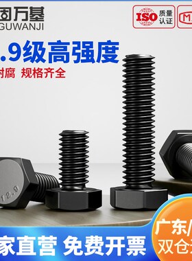 速发黑色外M角螺丝12.级高强度螺栓加长螺钉85M6MMM10六12M14-M20