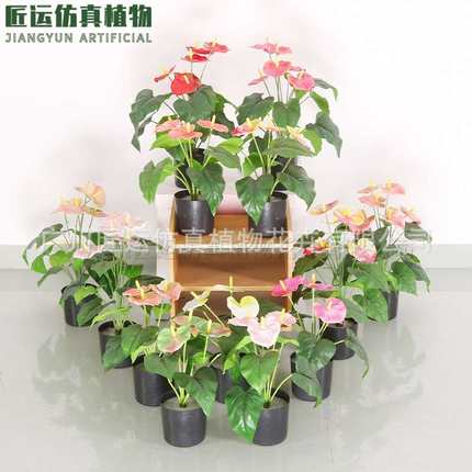 仿真植物红掌假花束客厅室内装饰盆栽摆设塑料绿植假花小盆景摆件
