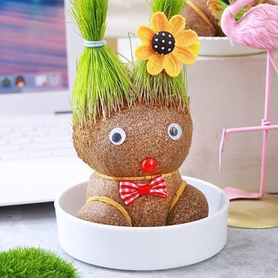 草头娃娃浇水头上长草人绿植长头发儿童种草幼儿园桌面礼物小盆栽