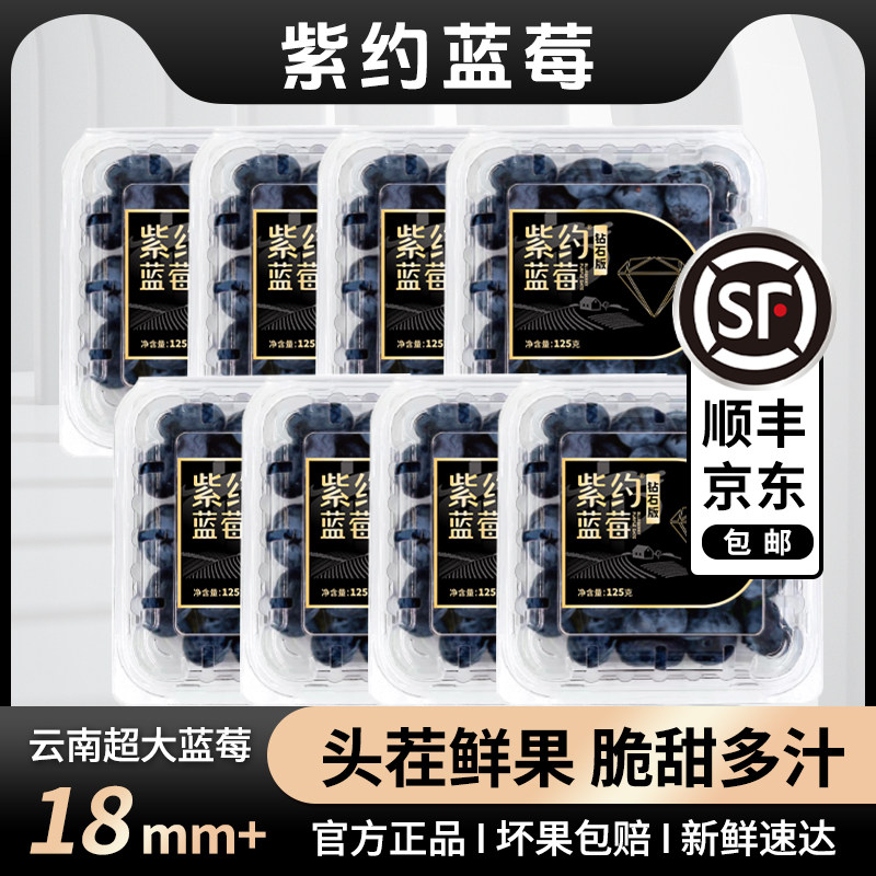 紫约云南高山蓝莓新鲜基地现摘现发当季鲜果孕妇宝宝大果包邮125g