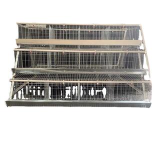 优质蛋鸡笼养殖场专用笼鸡笼子阶梯式蛋鸡笼养鸡设备养殖鸡笼全套