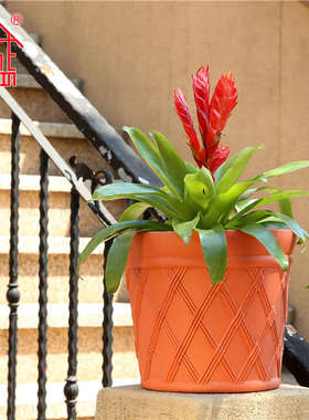 诚信SEISHIN 竹编风格花盆 阳台田园加厚塑料自动浇灌储水吸水