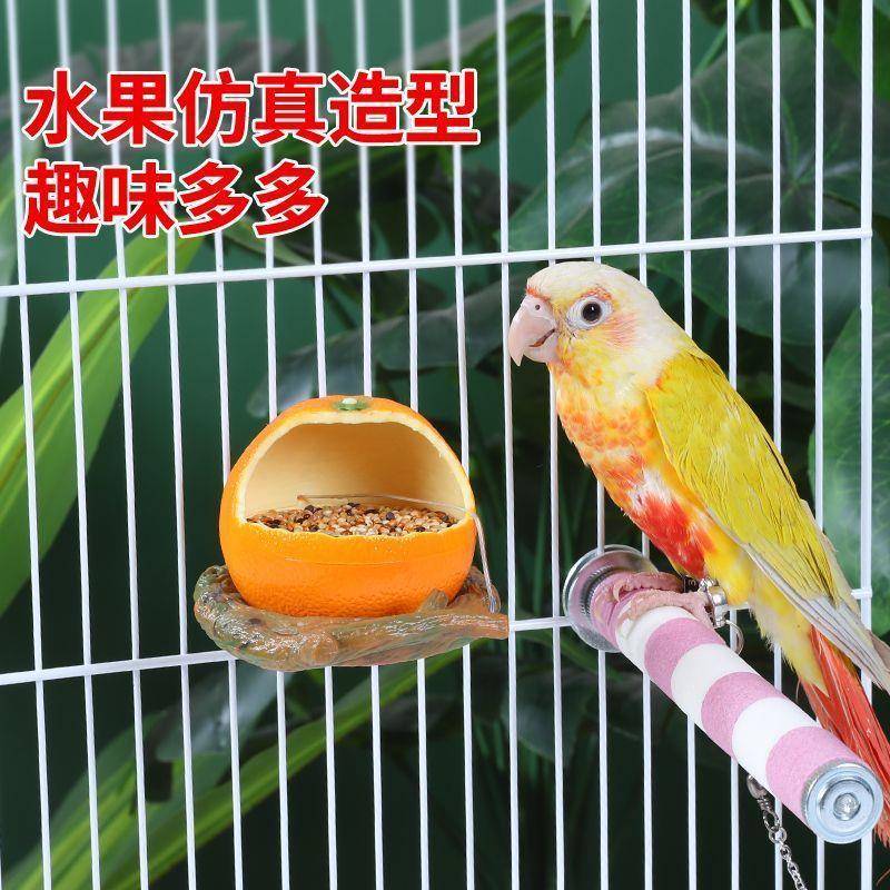 防撒防溅防甩鸟食盒虎皮牡丹玄凤鹦鹉水果饮水器鸟喂食器