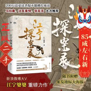 江宁探案录 江宁婆婆 百花洲文艺出版社