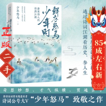 鲜衣怒马少年时 唐宋诗人的诗酒江湖 少年怒马 湖南文艺出版社