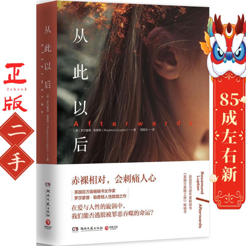 从此以后 罗莎蒙德勒普顿(Rosamund Lupton) 湖南文艺出版社