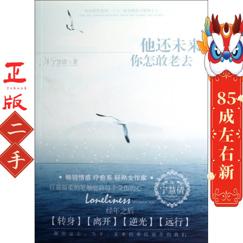 他还未来你怎敢老去 宁慧倩 长江文艺出版社