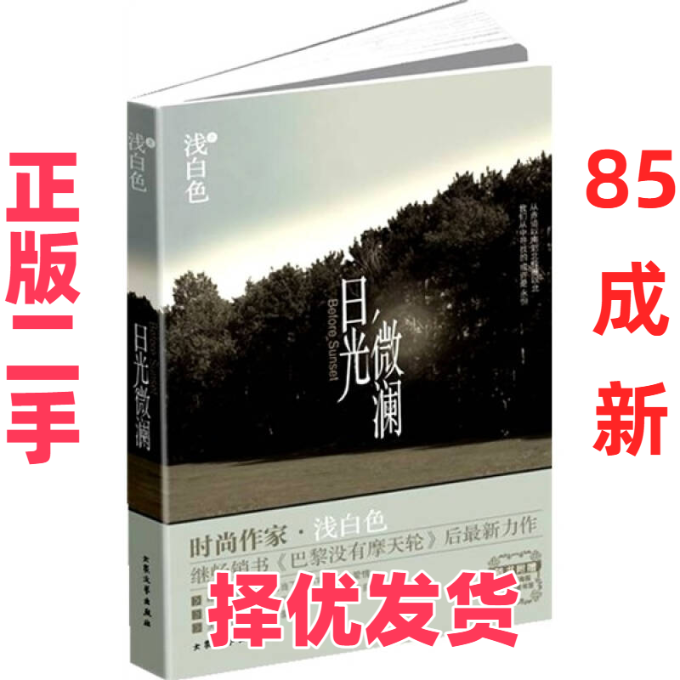 【正版二手】 日光微澜 浅白色 大众文艺出版社 9787802404830,书籍/杂志/报纸,外国小说,淘宝优惠券,粉丝福利购,淘宝优惠卷