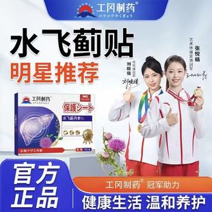 水飞蓟丹参草本萃取甄选护肝贴养肝舒肝 工冈制业源头工厂