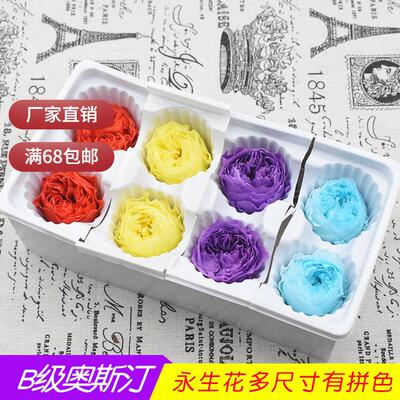 幻花永生花B级奥斯汀整盒diy鲜花花材材料玻璃罩礼盒钥匙链配材
