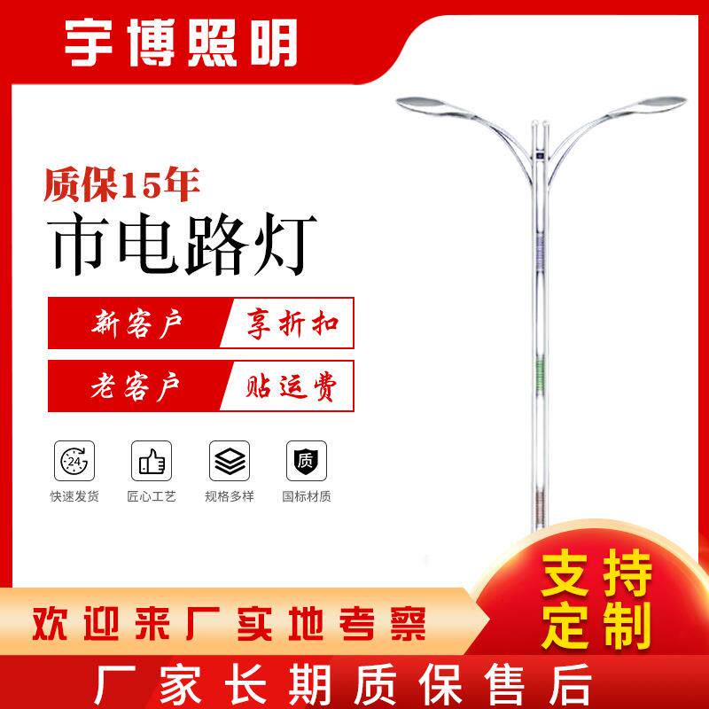 LED市电路灯 市政道路工程照明路灯 6米8米单臂双臂道路灯