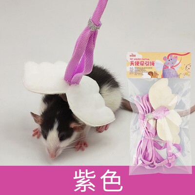 花枝鼠兔子龙猫荷兰猪貂天使翅膀胸背牵引绳紫色成熟专用项圈用品