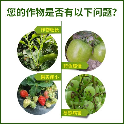 COMPO亚磷酸钾防病控梢控旺促花膨果磷钾叶面肥促进果实膨大
