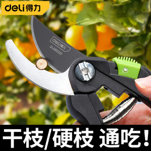 得力修枝剪园艺剪刀剪树枝专用剪刀园林修剪果树修枝花艺剪枝条剪