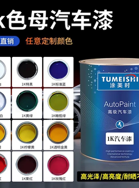 1K色母漆汽车漆特黑纯白大红 中黄 通蓝 通绿 紫色橄榄绿防锈油漆