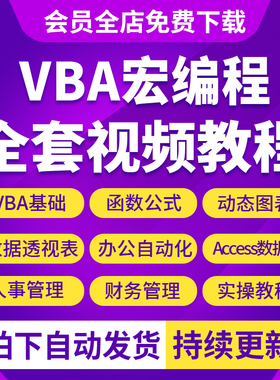 Excel VBA从入门到精通教程宏编程开发代码教学自动化办公课程